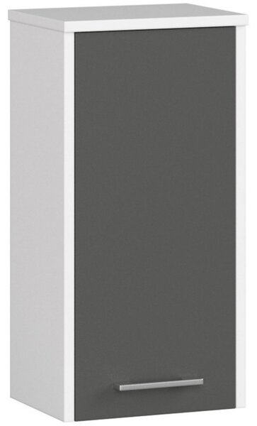 Szafka łazienkowa wisząca FIN W 30 cm - biała-grafit szary - 1 drzwi