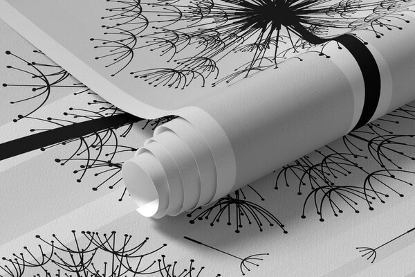 Fototapety Głębia i światło, Fototapety Czarno-białe, u37803d2 : Uwalls.pl