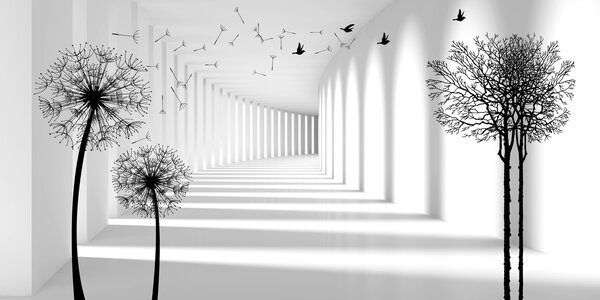 Fototapety Głębia i światło, Fototapety Czarno-białe, u37803d2 : Uwalls.pl