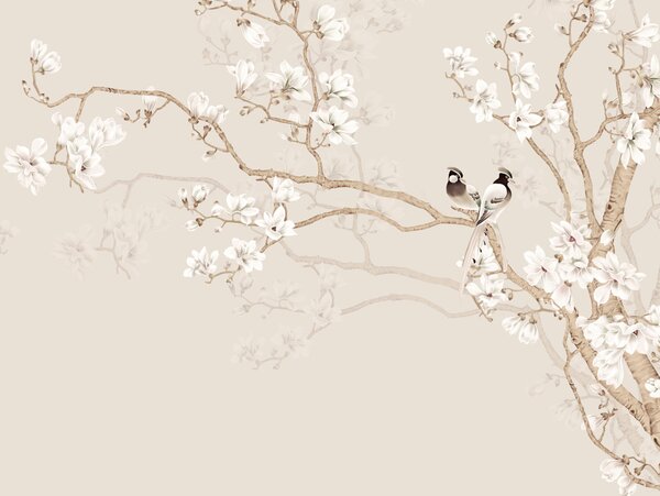 Fototapety Drzewo magnolii w ogrodzie, Fototapety Las, Fototapety Drzewa, u25842d1 : Uwalls.pl