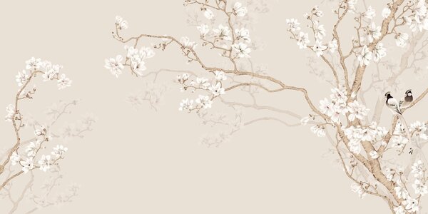 Fototapety Drzewo magnolii w ogrodzie, Fototapety Las, Fototapety Drzewa, u25842d2 : Uwalls.pl