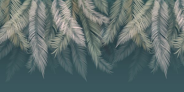 Fototapety Liście palmowe na ciemnozielonym tle, Fototapety Las, Fototapety Las tropikalny, u48556v2d2 : Uwalls.pl