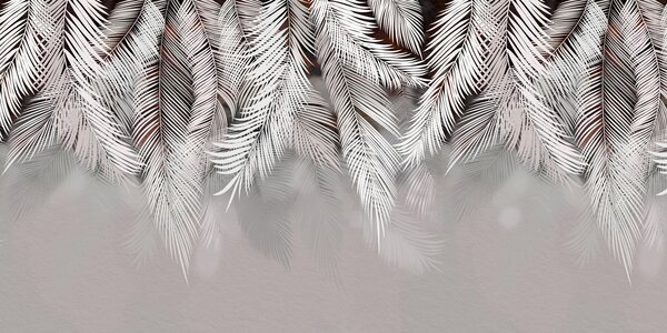 Fototapety Tropikalne liście, Fototapety Las, Fototapety Las tropikalny, u48556v4d2 : Uwalls.pl