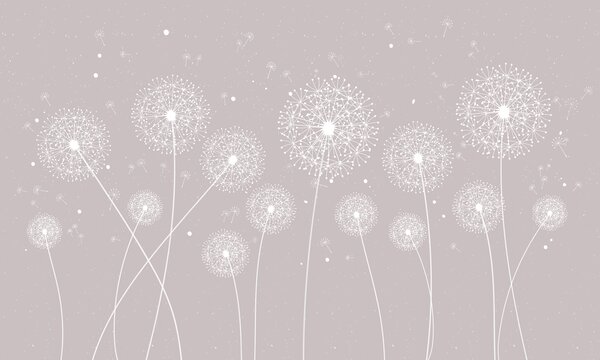 Fototapety Mniszek lekarski na różowym tle, Fototapety Kwiaty, w00754v2 : Uwalls.pl