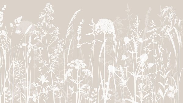 Fototapety Delikatne rośliny polne i minimalizm kwiatów, Fototapety Natura, w01270 : Uwalls.pl