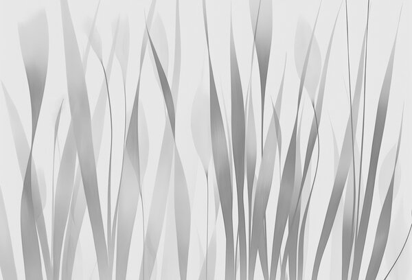 Fototapety Półprzezroczyste liście w odcieniach szarości, Fototapety Czarno-białe, w01018v3 : Uwalls.pl