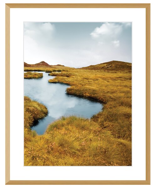 Obraz Grassy Field II 40x50cm