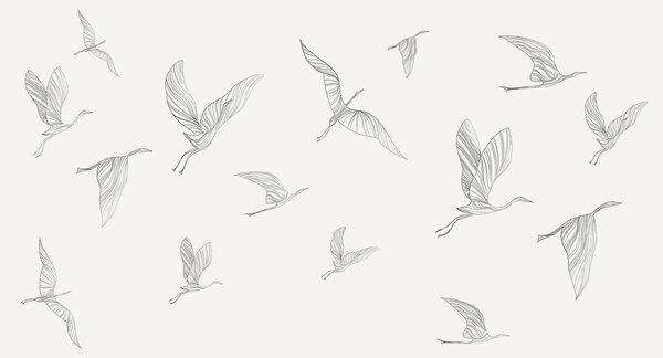 Fototapety Eleganckie ptaki szybujące po niebie, Fototapety Natura, w00758 : Uwalls.pl