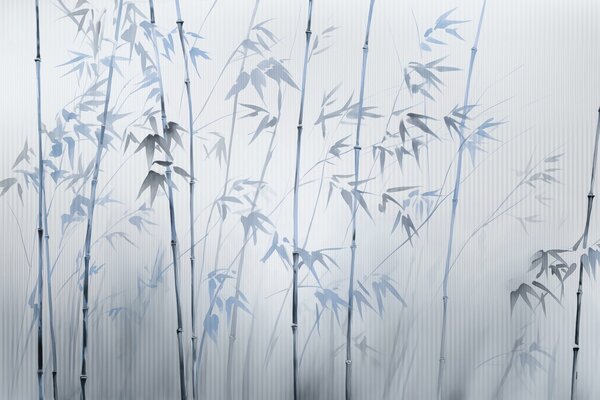 Fototapety Akwarela bambus, Fototapety Natura, w08390v1 : Uwalls.pl