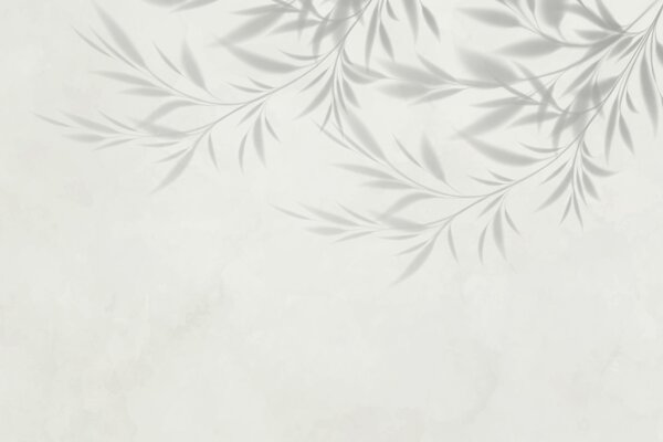 Fototapety Cień gałęzi i liści na oliwkowym tle, Fototapety Natura, w02283 : Uwalls.pl