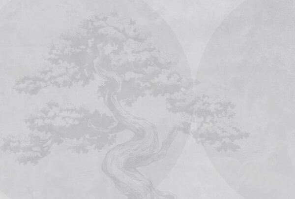 Fototapety Drzewko bonsai minimalizm geometria grunge tło, Fototapety Natura, w08557v1 : Uwalls.pl