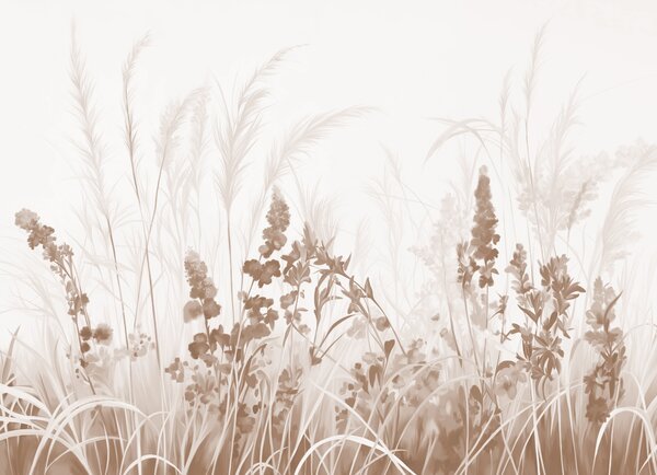 Fototapety Brązowe kwiaty i beżowe trzciny na polu, minimalistyczna tekstura obrazu, jasne tło, miękkie, Fototapety Natura, w08982v1 : Uwalls.pl