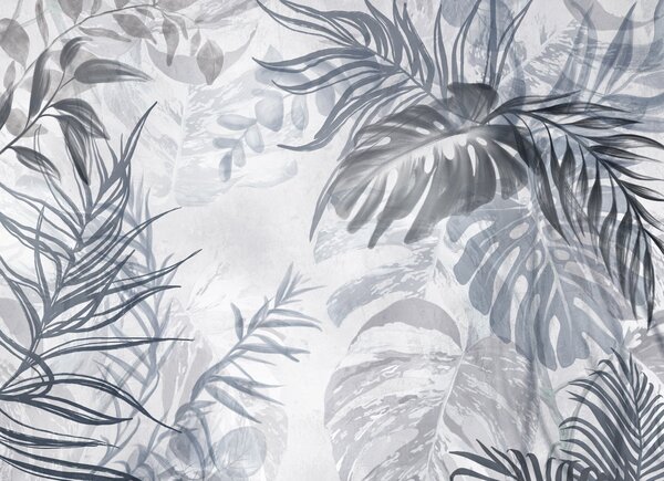 Fototapety Monstera i liście palmy w odcieniach niebieskiego i szarego, botaniczne,, Fototapety Las, Fototapety Las tropikalny, w09011v1 : Uwalls.pl