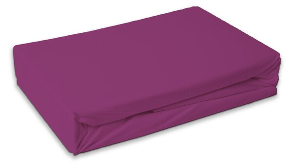 Prześcieradło frotte fioletowa orchidea, 180 x 200 cm, 180 x 200 cm