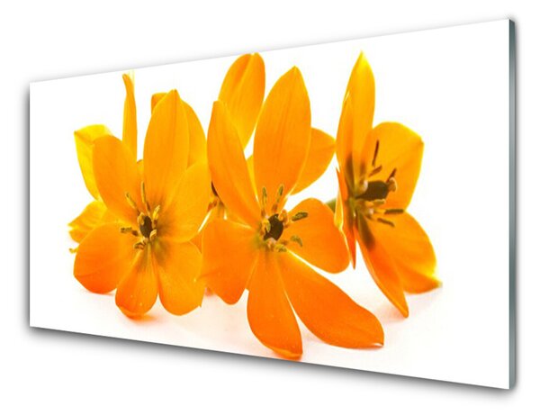 Obraz na Szkle Pomarańczowe Roślina Kwiaty