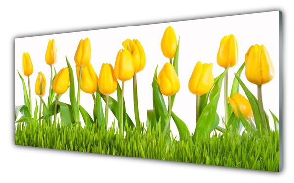 Obraz na Szkle Tulipany Na Ścianę