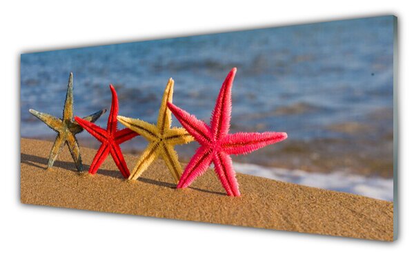 Obraz na Szkle Plaża Rozgwiazda Sztuka