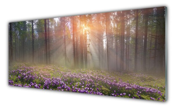 Obraz na Szkle Las Kwiaty Roślina Natura