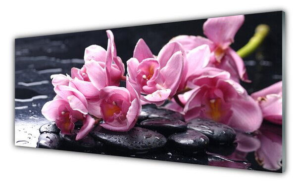 Obraz na Szkle Kwiat Orchidea Roślina