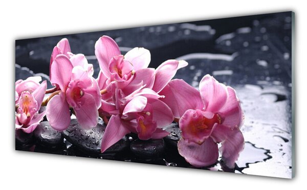 Obraz na Szkle Kwiat Orchidea do Pokoju