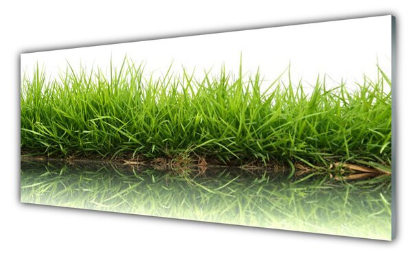 Obraz na Szkle Trawa Woda Natura Roślina