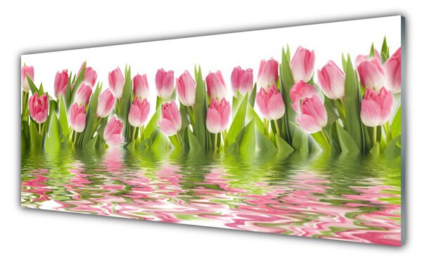 Obraz Szklany Tulipany Roślina Natura