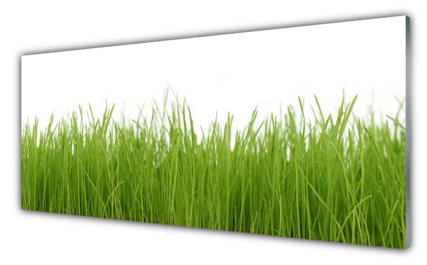 Obraz Szklany Trawa Roślina Natura