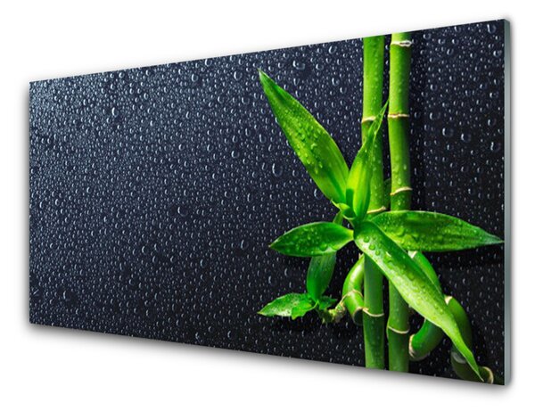 Obraz Szklany Bambus Łodyga Roślina Natura