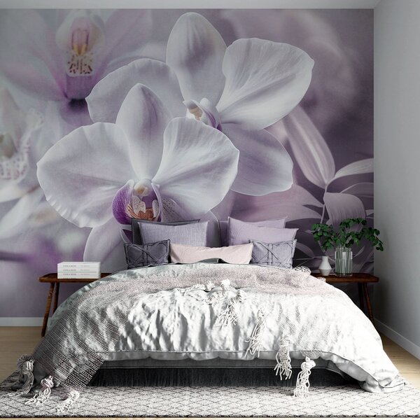 Fototapety Białe i liliowe delikatne kwiaty orchidei, miękkie oświetlenie i rozmyte teksturowane tło , Fototapety Kwiaty, w09155 : Uwalls.pl