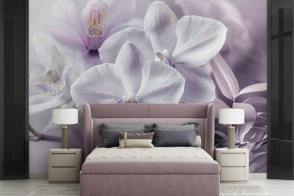 Fototapety Białe i liliowe delikatne kwiaty orchidei, miękkie oświetlenie i rozmyte teksturowane tło , Fototapety Kwiaty, w09155 : Uwalls.pl