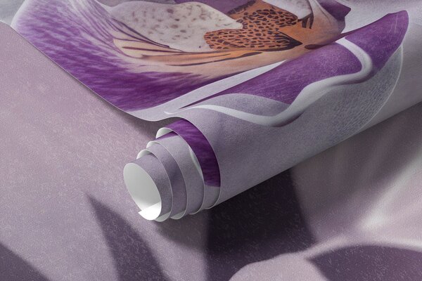 Fototapety Białe i liliowe delikatne kwiaty orchidei, miękkie oświetlenie i rozmyte teksturowane tło , Fototapety Kwiaty, w09155 : Uwalls.pl