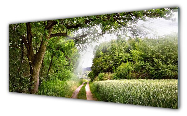 Obraz Szklany Drzewa Ścieżka Natura