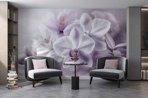 Fototapety Białe i liliowe delikatne kwiaty orchidei, miękkie oświetlenie i rozmyte teksturowane tło , Fototapety Kwiaty, w09155 : Uwalls.pl