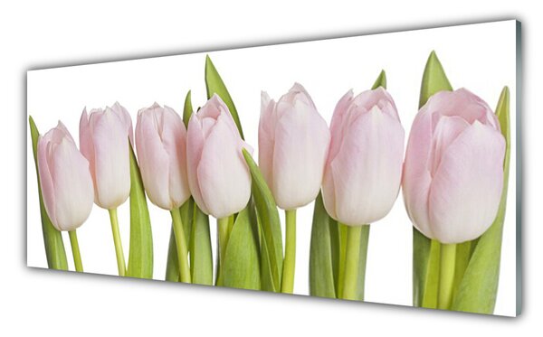 Obraz Szklany Tulipany Kwiaty Roślina