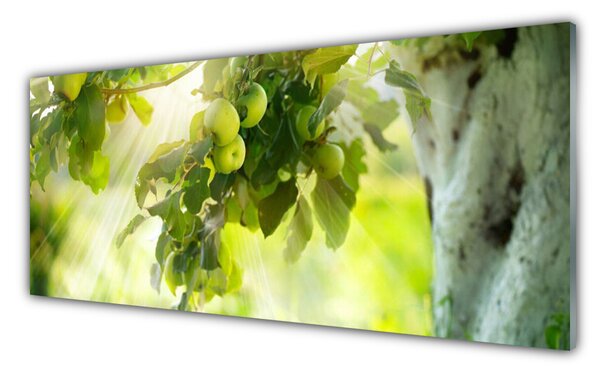 Obraz Szklany Jabłka Gałąź Drzewo Natura