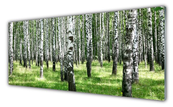 Obraz Szklany Las Trawa Roślina Natura