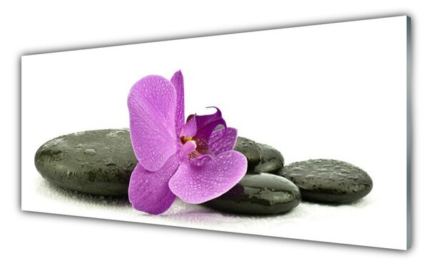 Obraz Szklany Kwiat Orchidea Storczyk