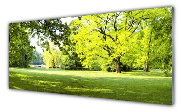 Obraz Szklany Trawa Drzewa Park Przyroda