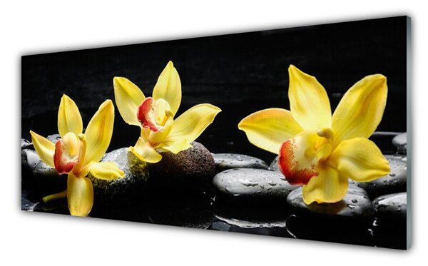 Obraz Szklany Kwiat Orchidea Roślina