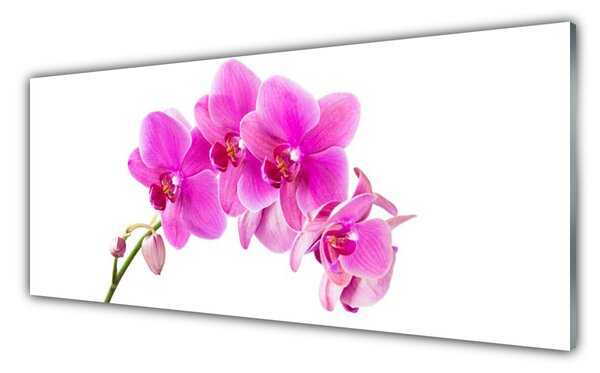 Obraz Szklany Storczyk Kwiat Orchidea