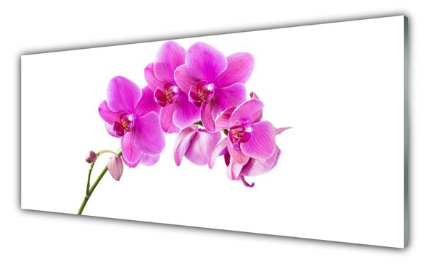 Obraz Szklany Storczyk Kwiat Orchidea