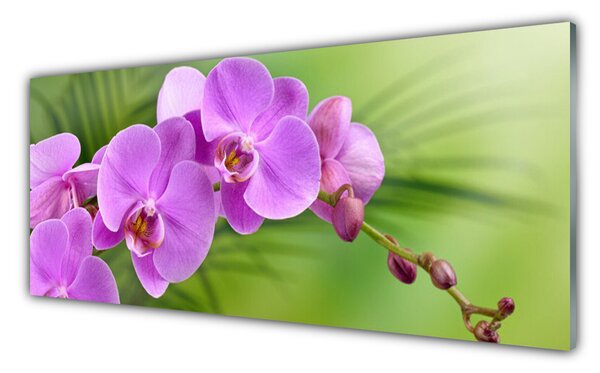 Obraz Szklany Storczyk Orchidea Kwiaty