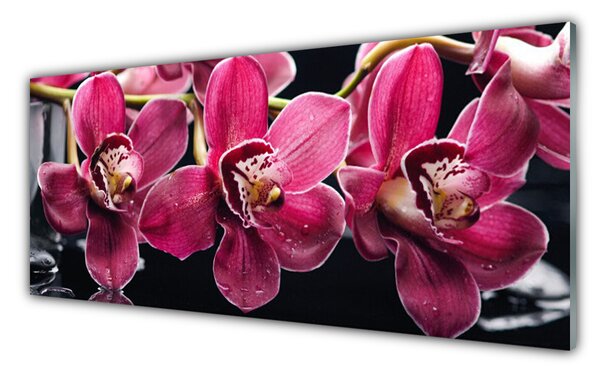 Obraz Szklany Kwiaty Orchidea Pędy Natura