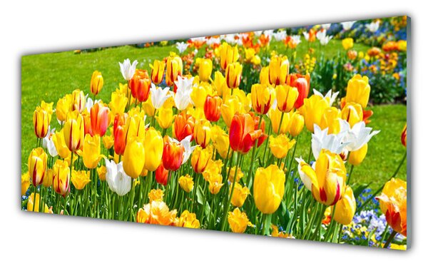 Obraz Szklany Tulipany Kwiaty Natura