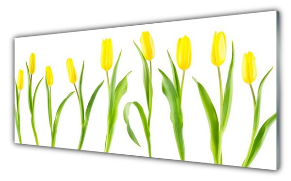 Obraz Szklany Żółte Tulipany Kwiaty