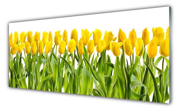 Obraz Szklany Tulipany Kwiaty Natura