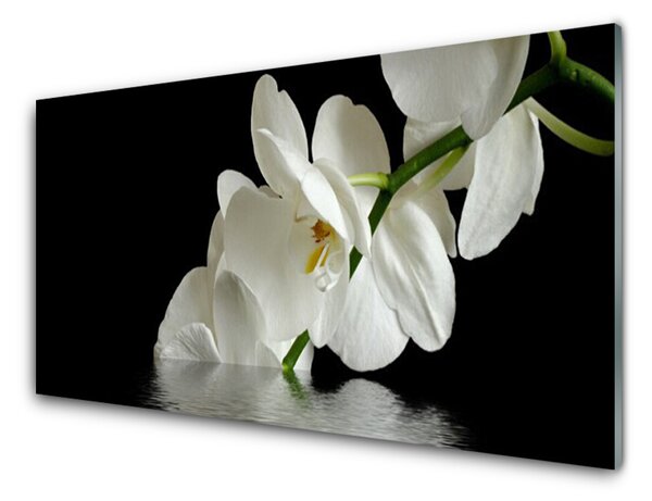 Obraz Szklany Orchidea w Wodzie Kwiaty