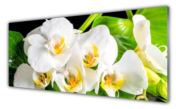 Obraz Szklany Orchidea Kwiaty Natura