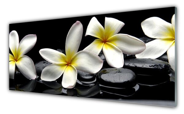 Obraz Szklany Piękny Kwiat Plumeria
