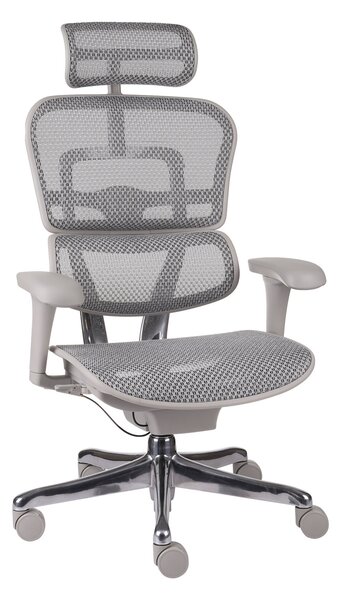 Fotel biurowy Ergohuman 2 Basic GS Grey